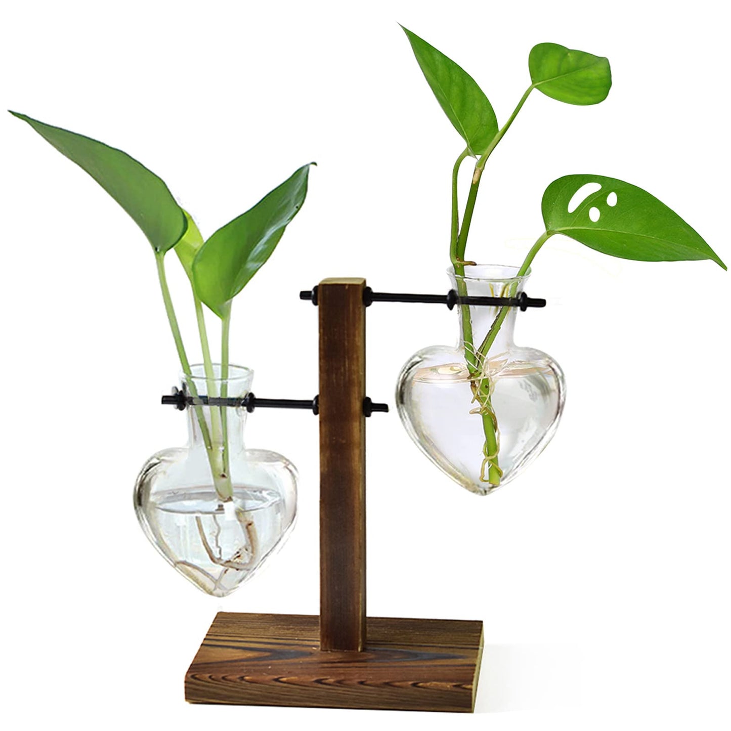 Plant Terrarium Wooden Stand - 2 Bulb Vase