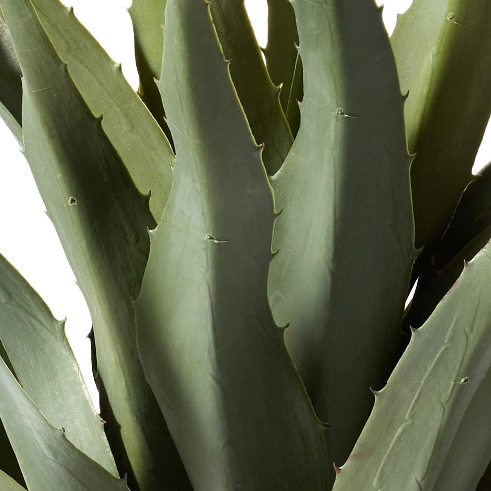 Nearly Natural Agave with Black Planter