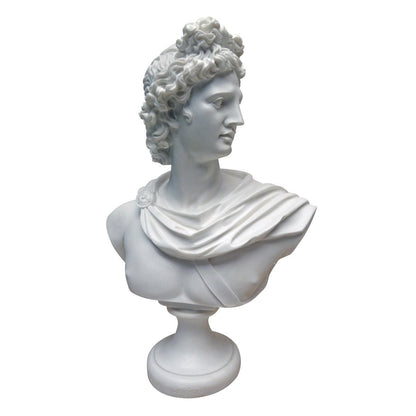 Apollo Belvedere Bust Statue - White