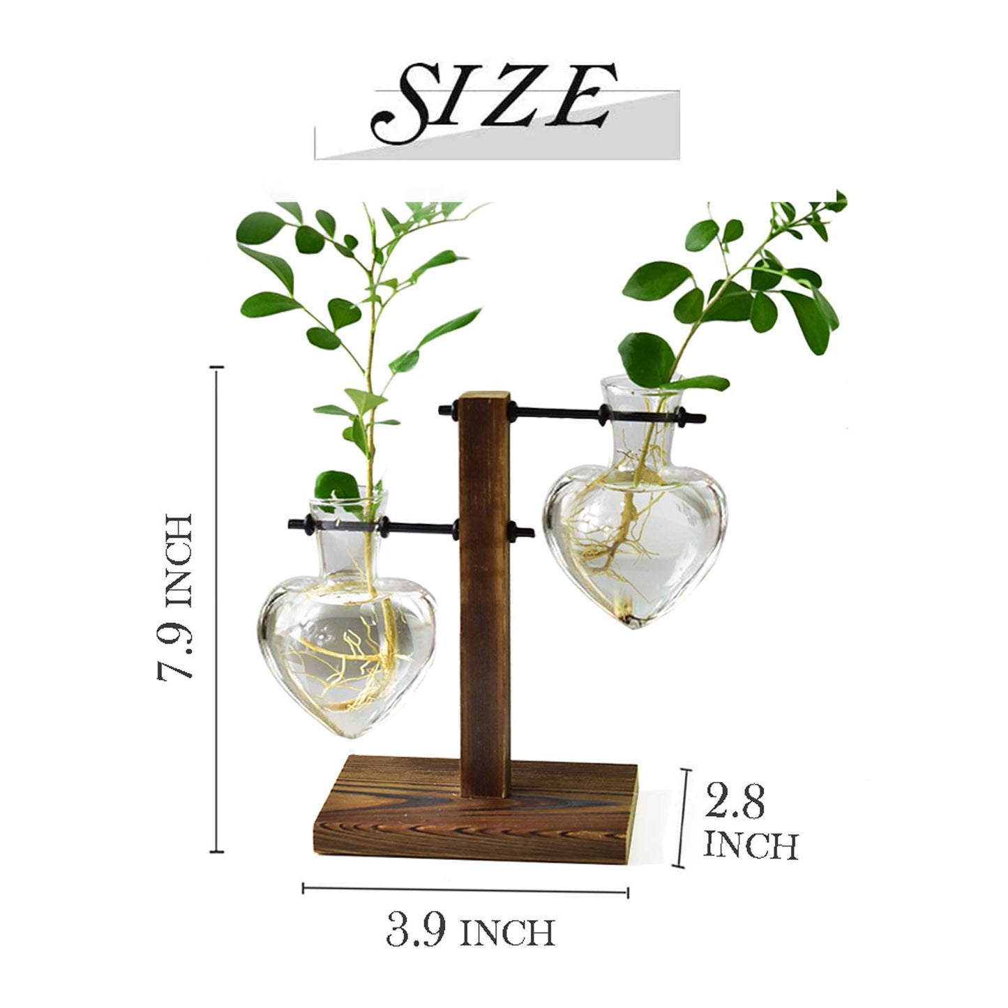 Plant Terrarium Wooden Stand - 2 Bulb Vase