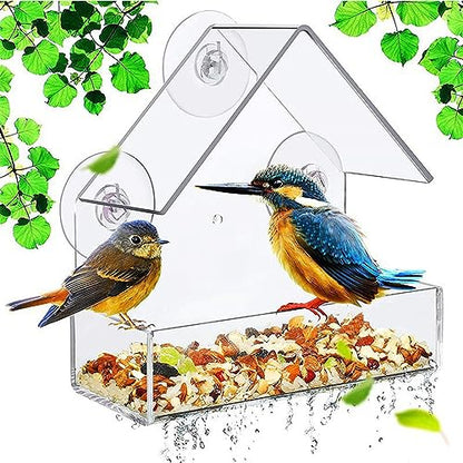 Window Bird Feeder with Suction Cups