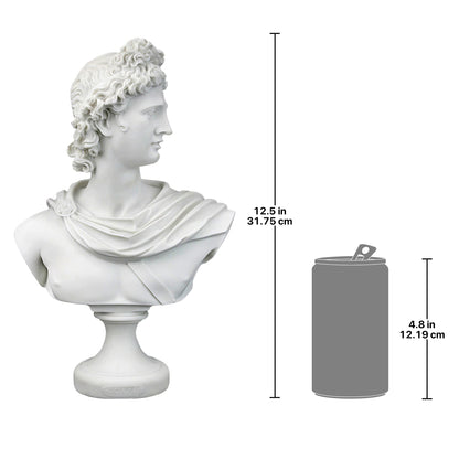 Apollo Belvedere Bust Statue - White