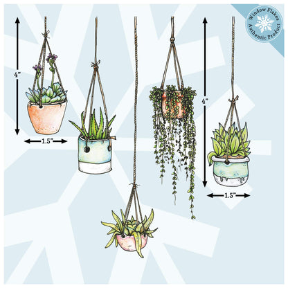 Hanging Plant Laptop Sticker Pack