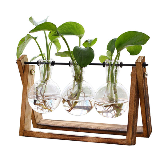 Plant Terrarium with Wooden Stand - 3 Bulb Vase