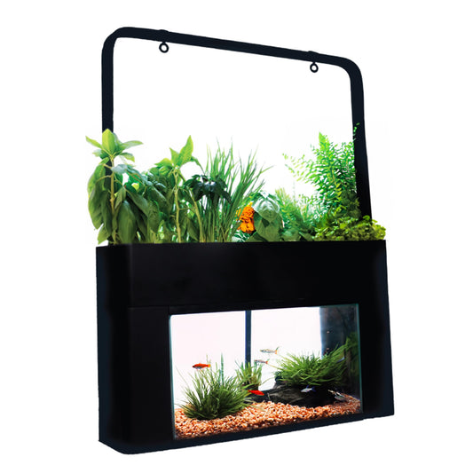 Aquaponics Garden Kit for Desktop Aquarium