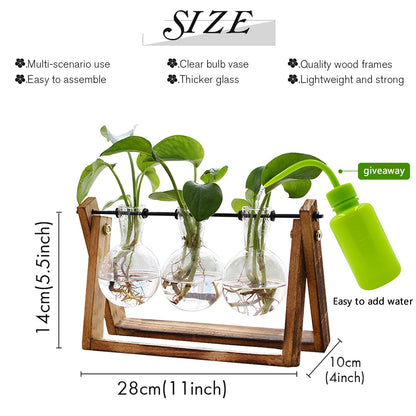 Plant Terrarium with Wooden Stand - 3 Bulb Vase