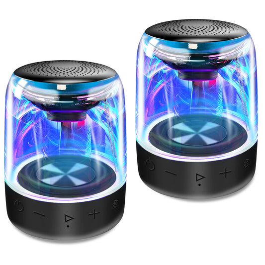 Dual Portable Bluetooth Speakers