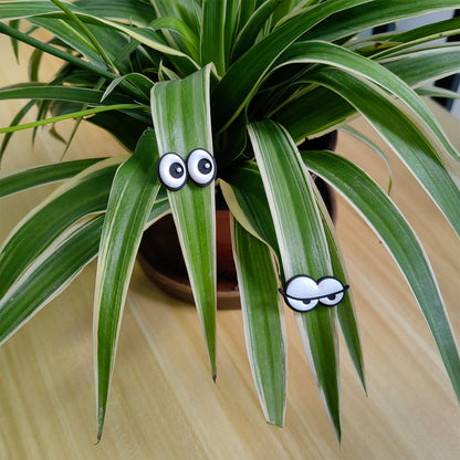 Cute Plant Magnets - Set of 6