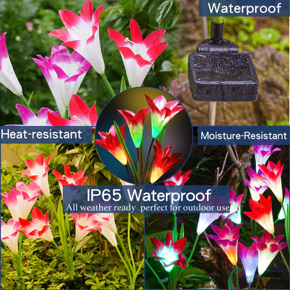 Color Changing Solar Garden Lights