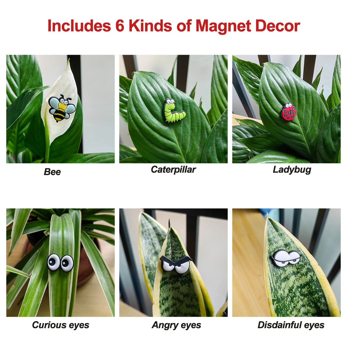 Cute Plant Magnets - Set of 6