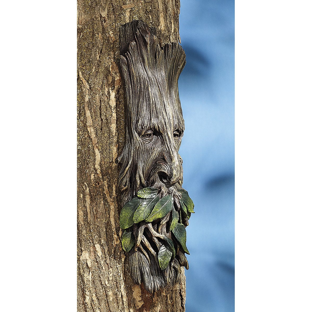 Whispering Wilhelm Tree Ent Wall Sculpture