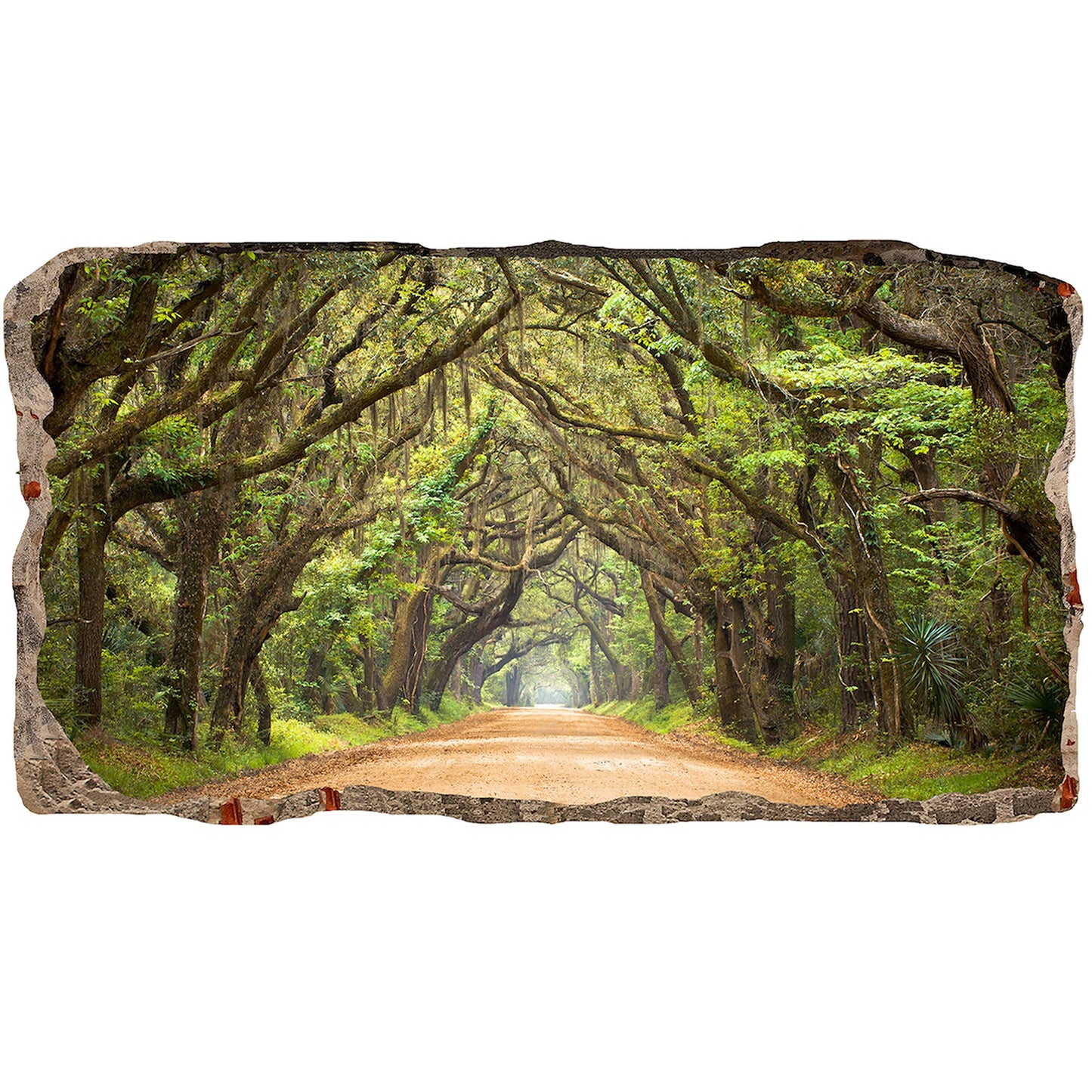 3D Green Tunnel Tree Mural