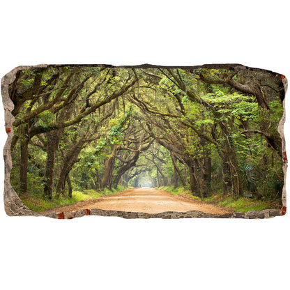 3D Green Tunnel Tree Mural